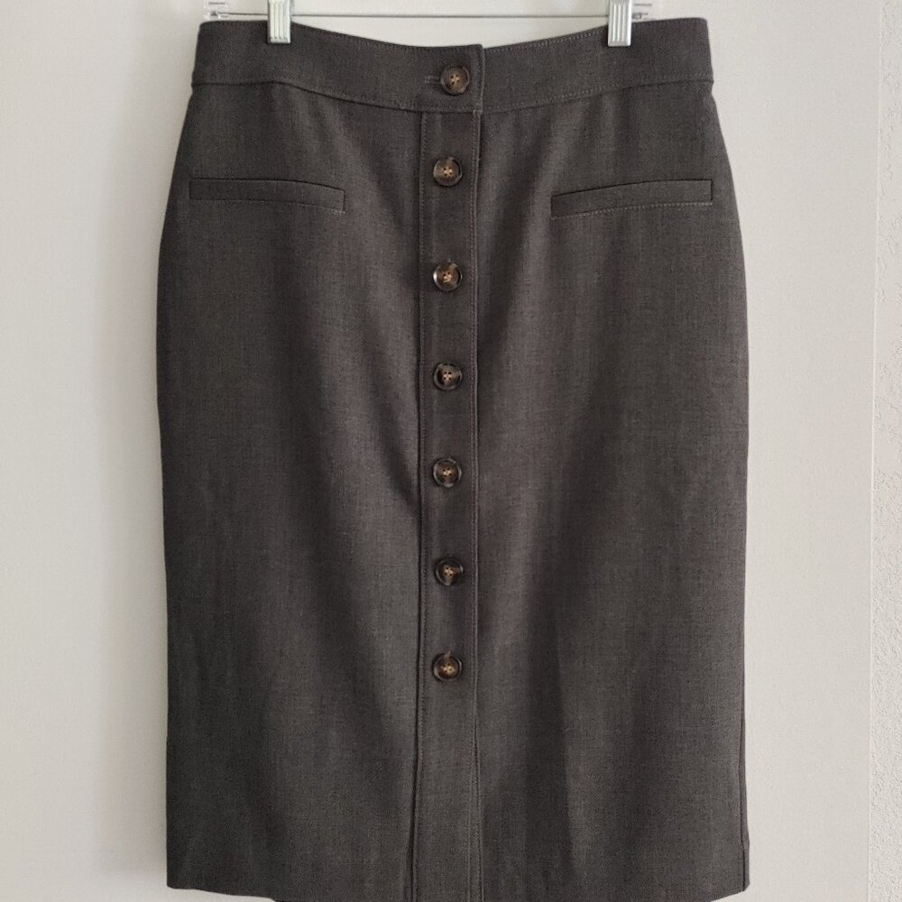 Ann Taylor skirt